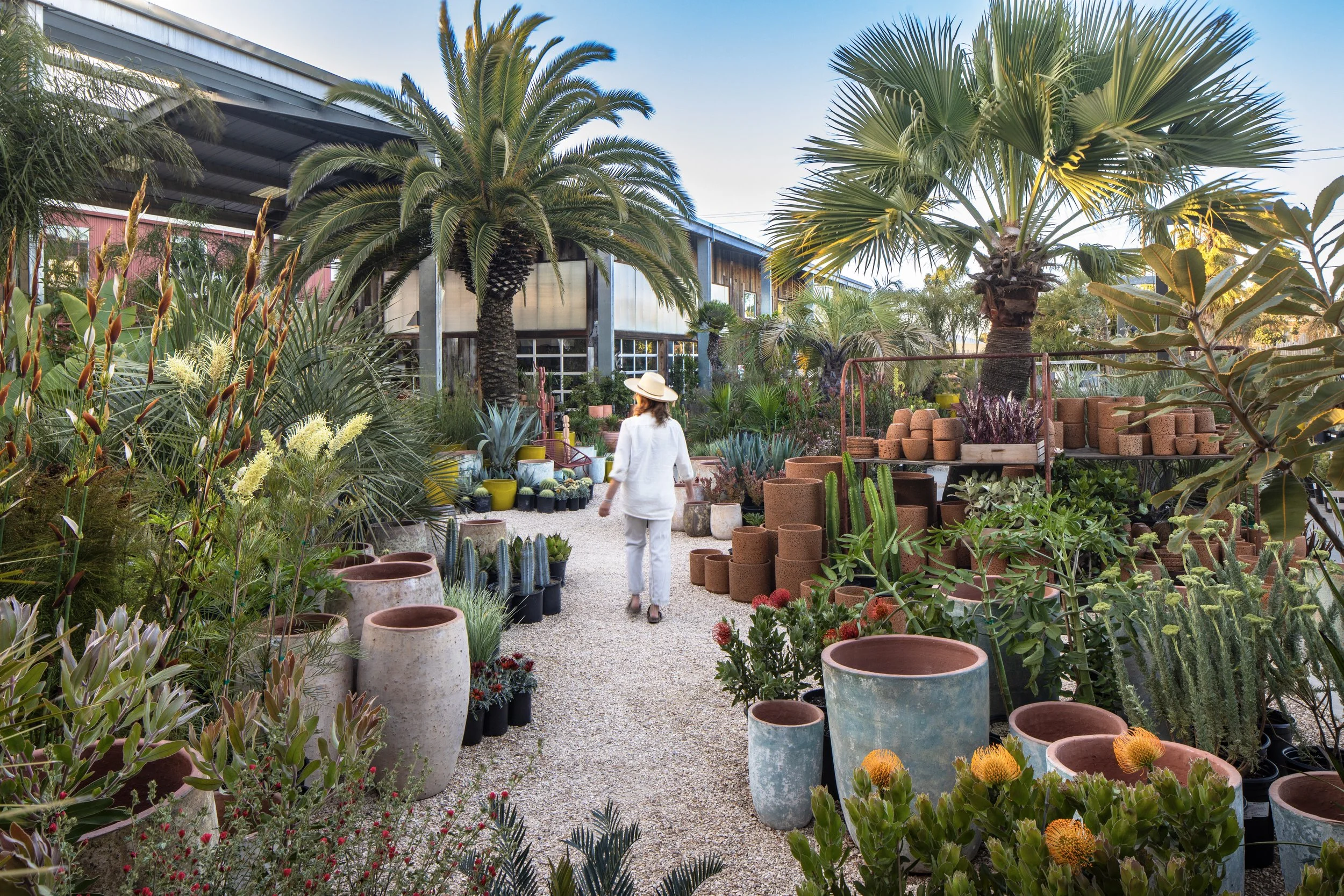 About Us, Our Mission, Our History. — Flora Grubb Gardens Plant
